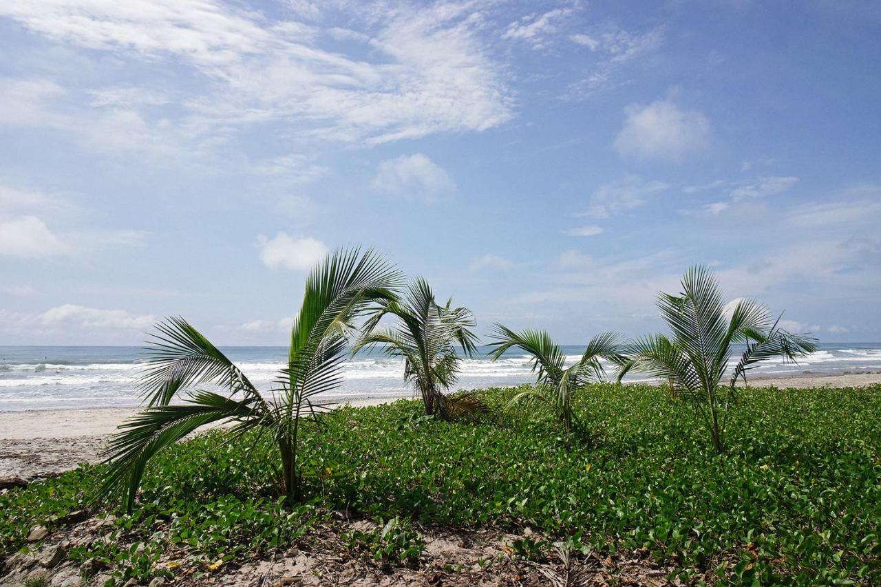 Villa Picasso Playa Santa Teresa  Kültér fotó